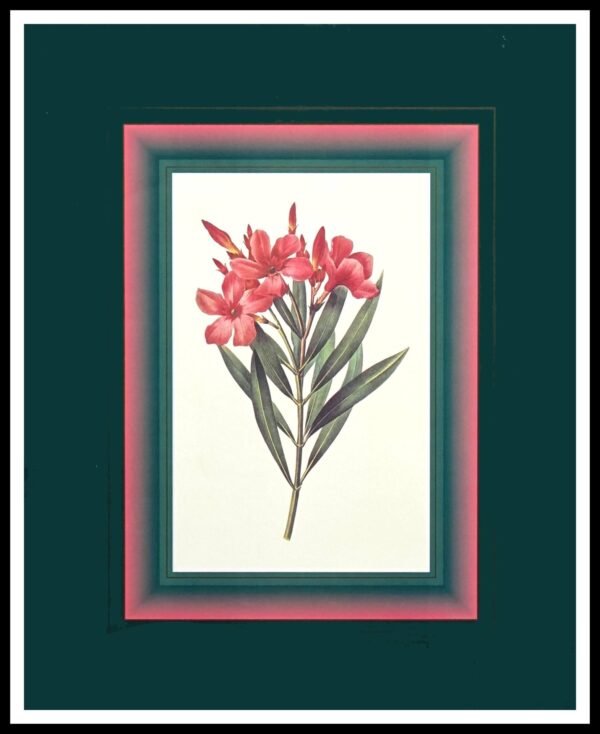 FR PN235 Flora Impression II